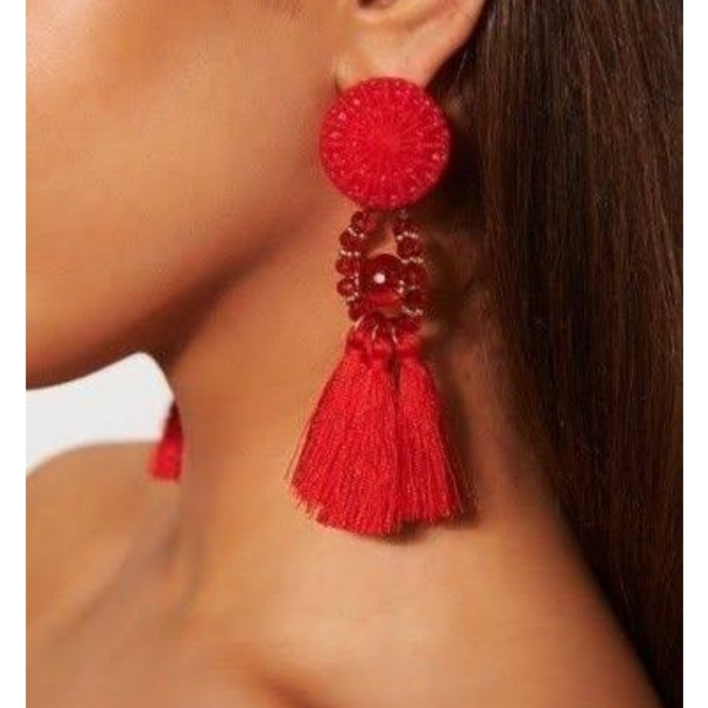 Nwt tassel Earrings Periced ears